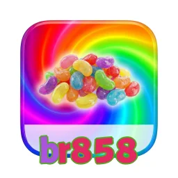 br858