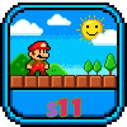 s11